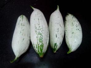 夏津吃瓜事件消息